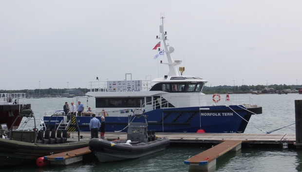 Seawork 2013 Norfolk Tern”, Exhibited